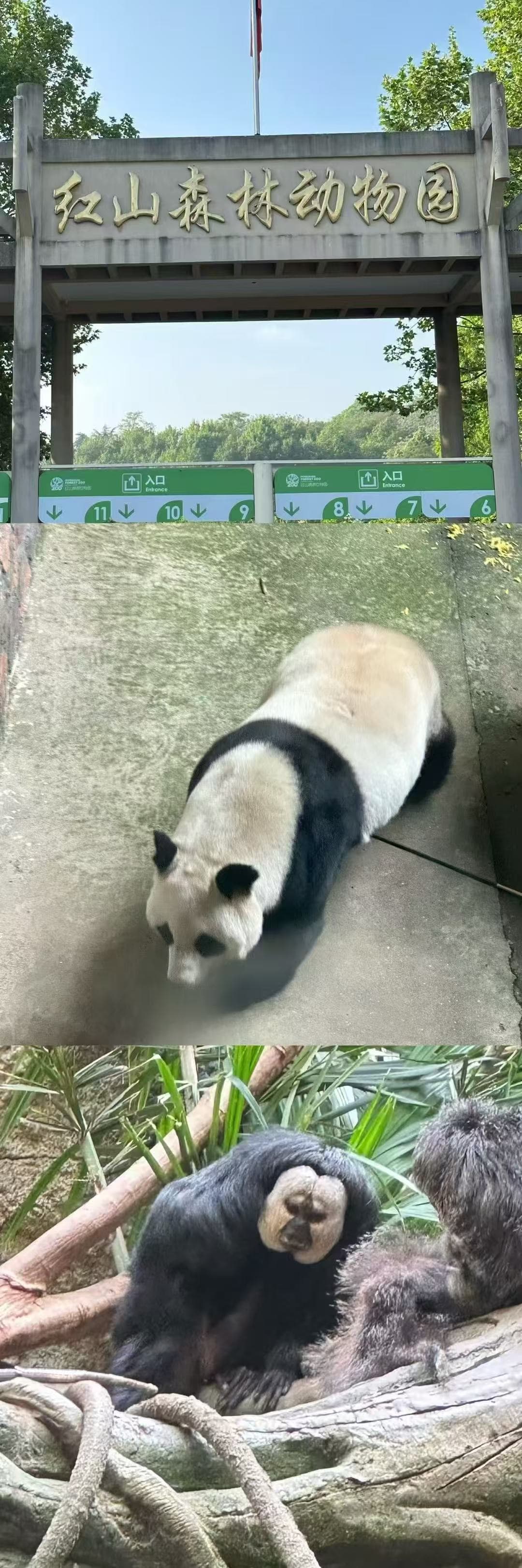 江苏南京